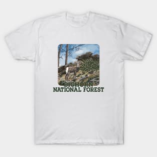 Bighorn National Forest, Wyoming T-Shirt